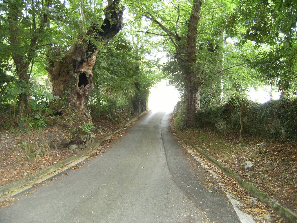 Bajada a carretera by JGS