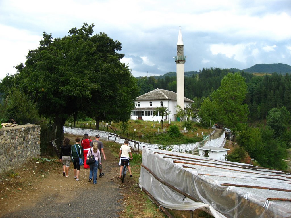 The Mosque in Drangovo 26.07.08 by Alexander Nikolov