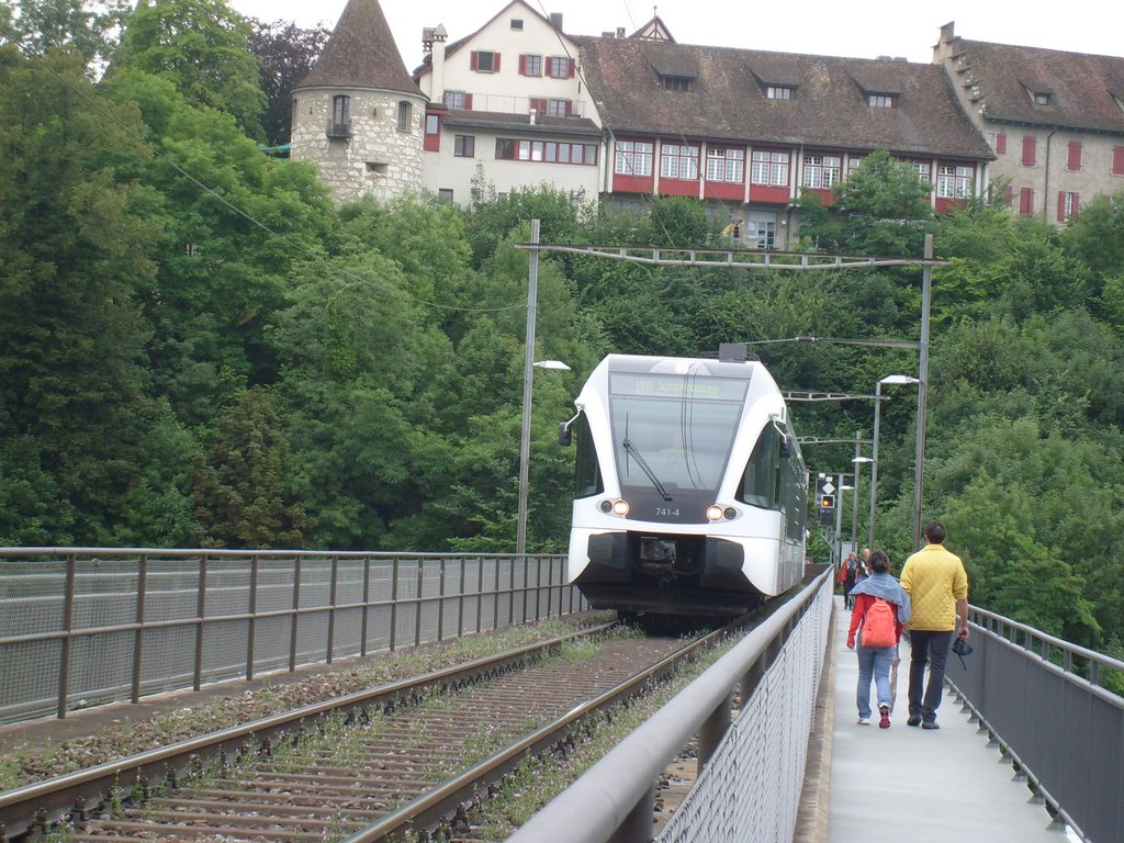 Train going over bridge at Neuhausen am Rhinefall by WallaceBeth