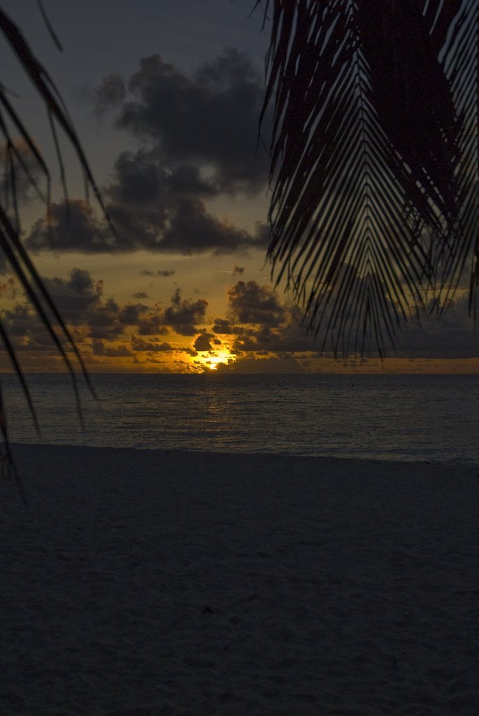 Sunset on Beach by AchimGeng