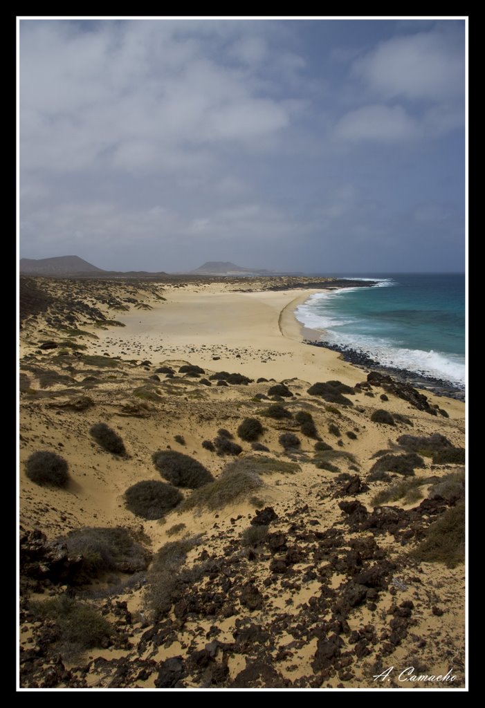 Las conchas by a. camacho