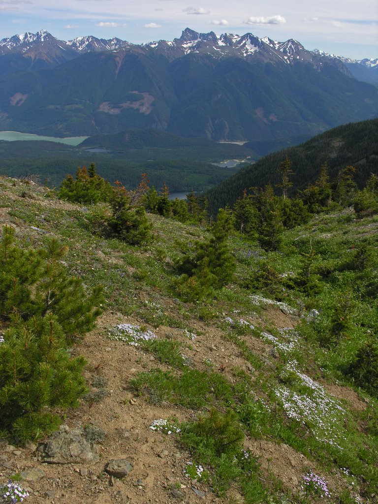 North Cinnibar descent 11 (wildflowers & Truax) by Cliff Jennings