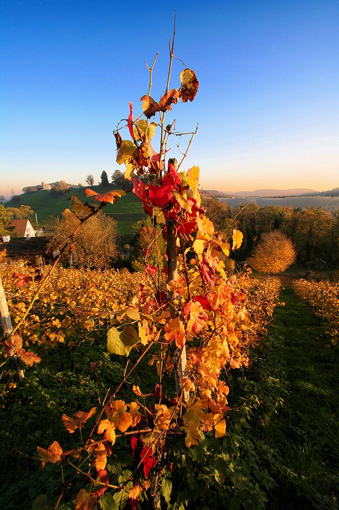 Herbststimmung by MaCello