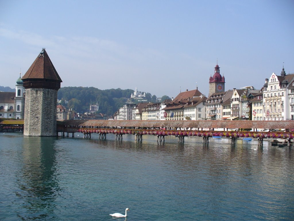 Lucerne /Switzerland by bearfriend