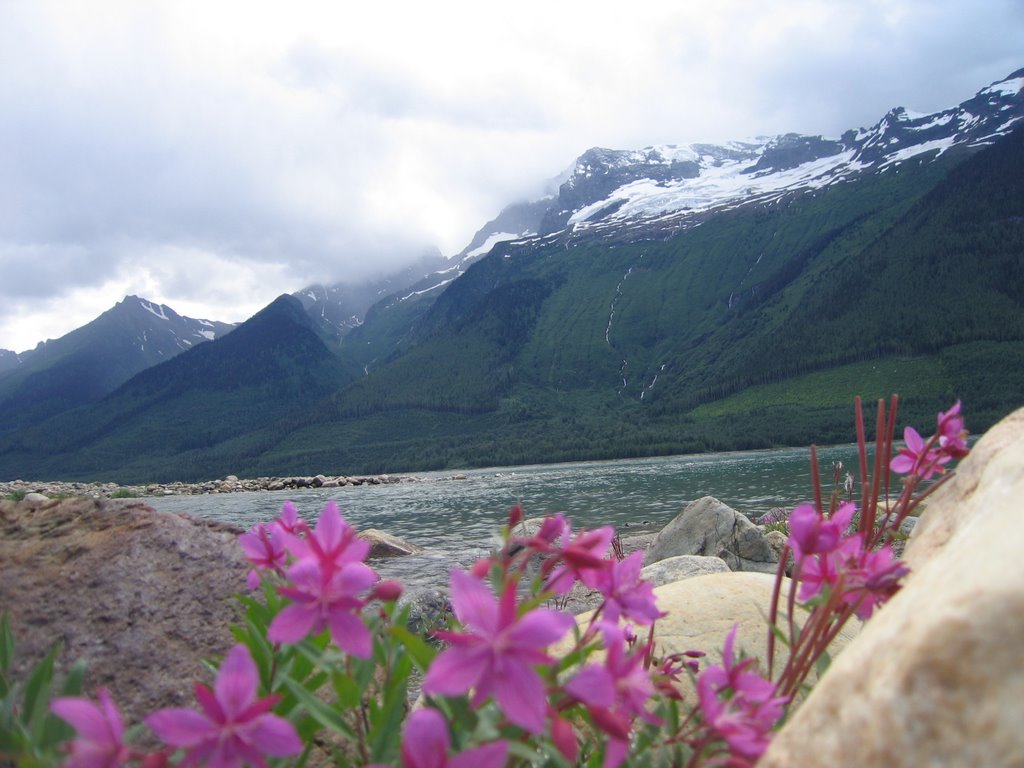 Mountain Summer Serenity and Fireweed Near Valemount, BC by David Cure-Hryciuk