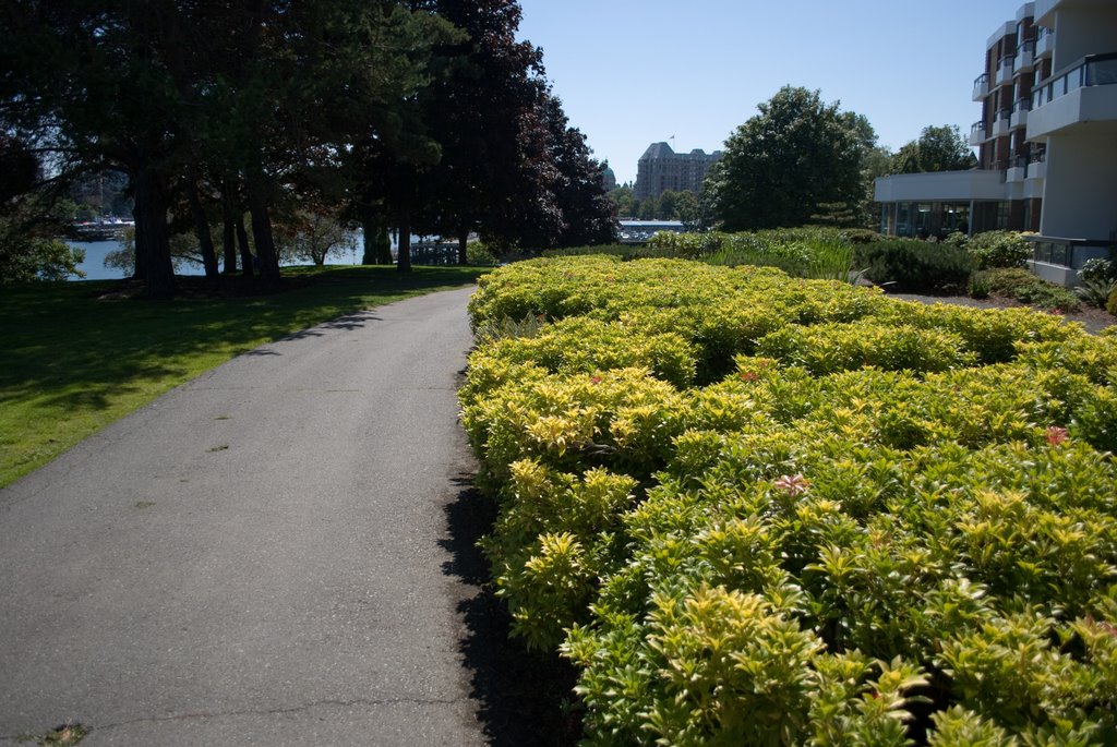 Victoria BC Seawall by whoelius