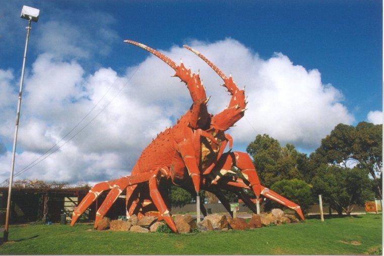 Larry the big Lobster by Allan Kok