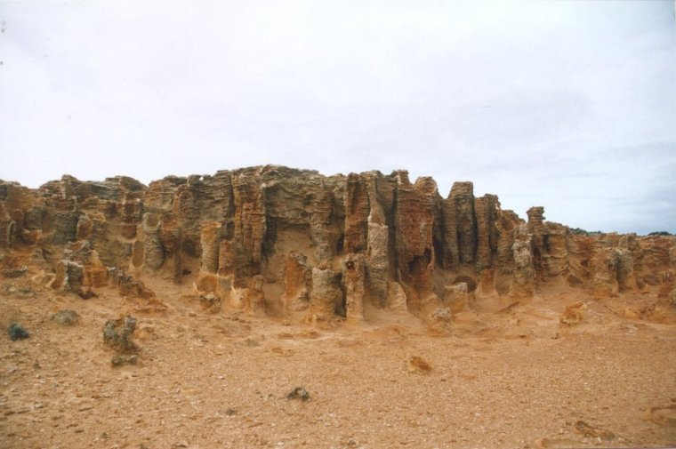 Petrified Forest, Cape Bridgewater by Allan Kok