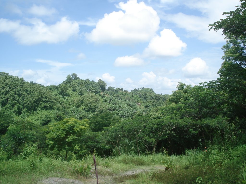 Bandarban Sadar Upazila, Bangladesh by Mir Abul Kashem