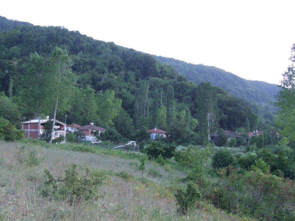 Gayrak harmandan aşağı köseli by M . Feyzi Yaman