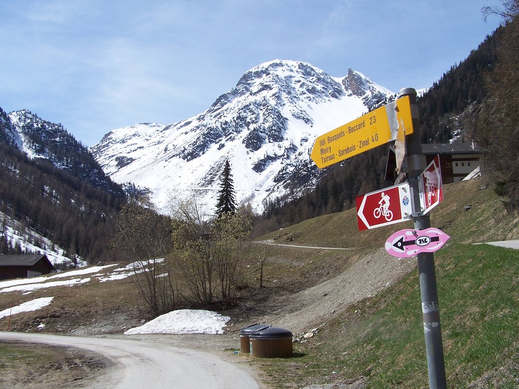 Rue a le lac de Moiry by fberkhuizen