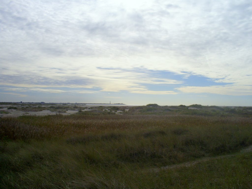 Dunes Hors Den Helder in the distance by fberkhuizen