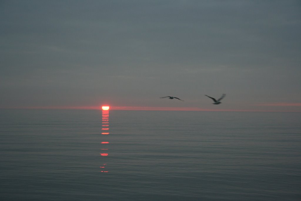 Early morning view, bray harbour by patrick murphy