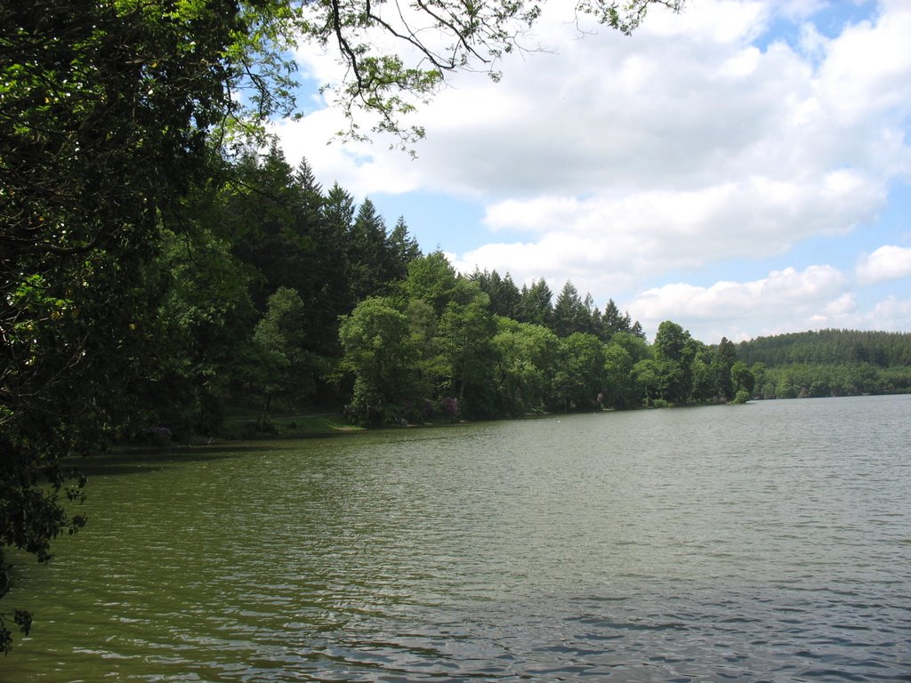 Shearwater Lake - Wiltshire - 6 by H T W Gay