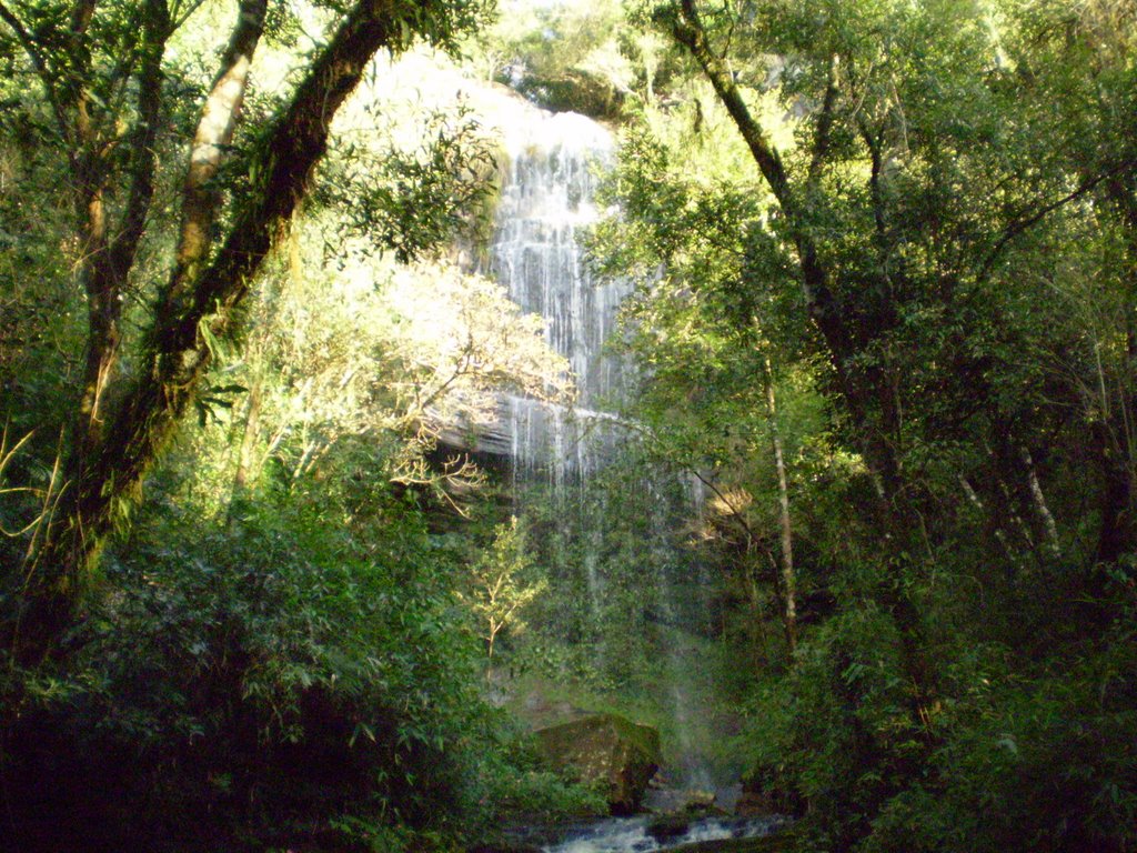 Cascata by Rodrigo Borges