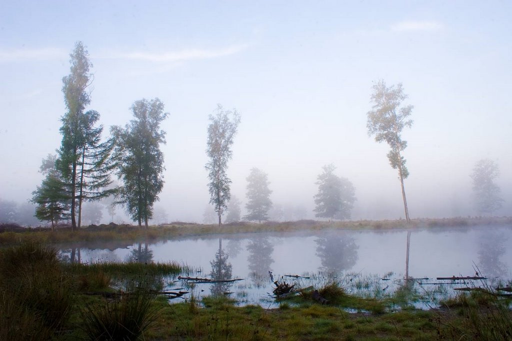 Silent Waters by Erik van den Ham