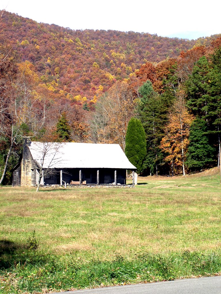 Fall in Tennessee by Grif