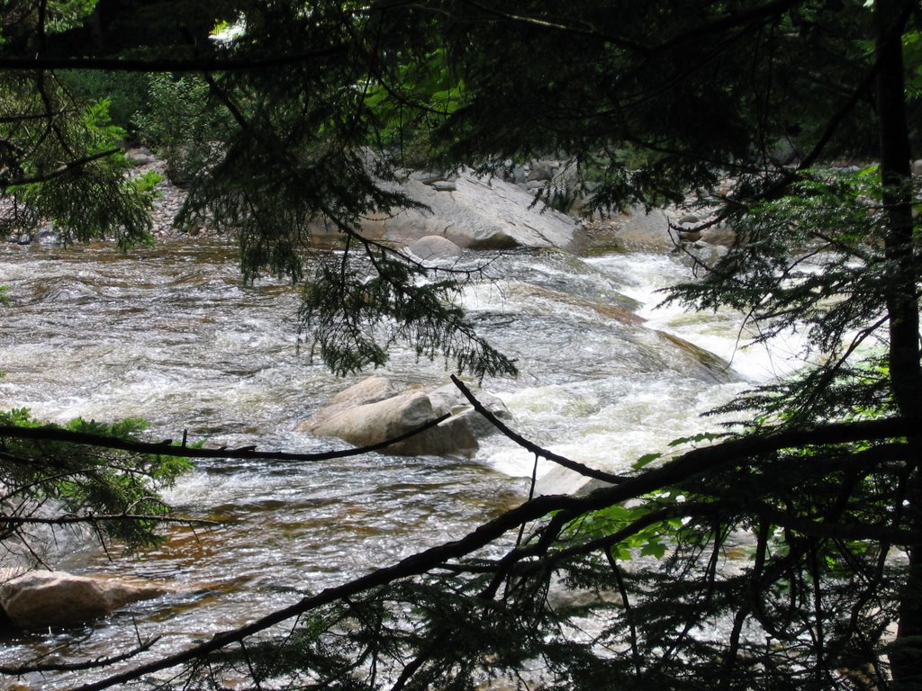 The river runs ...!!!../franconia notch state park/NH/USA by Ak52