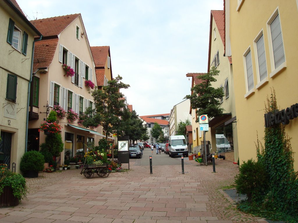 Bietigheim Innertown by Gao Qing