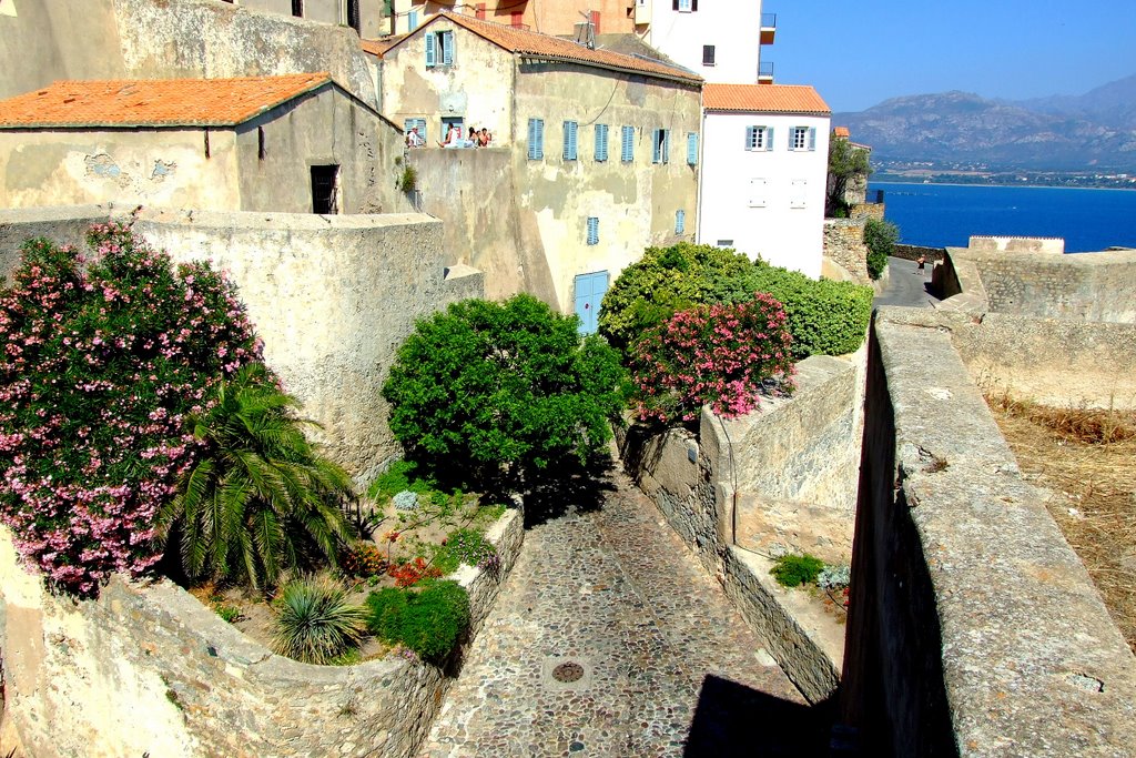 Calvi Fortress by pofoka