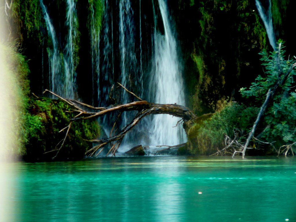 Vízesés vs. Növényzet, Plitvicka Jezera , National Park in Croatia, UNESCO heritage by Stéger Alíz