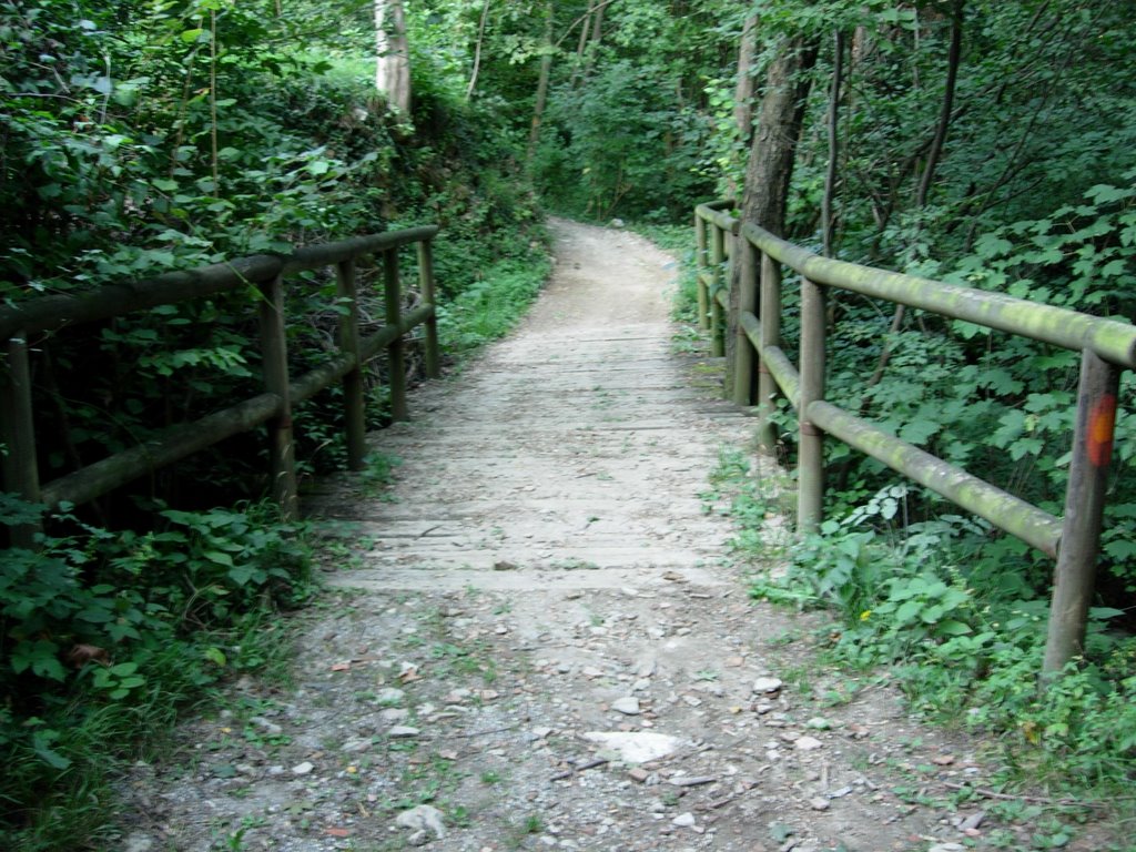 Ponte su ruscello by Rubens lore