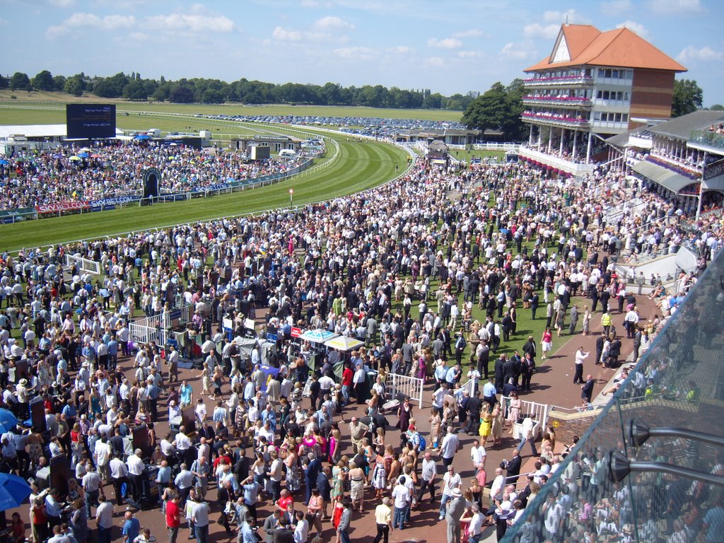 Busy day at York Races by jeffrey-kellett