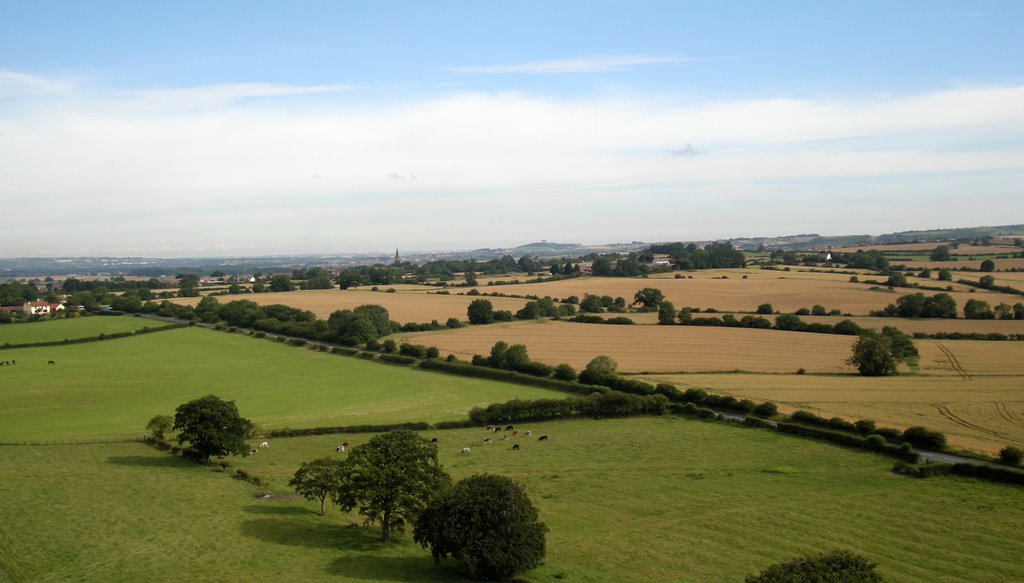 Looking towards Rainton and Penshaw, Took from a radio controlled model plane. by Ian Hall Aerial Photography