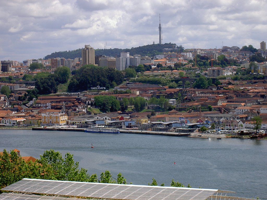 Porto-Portugal by caryrivas