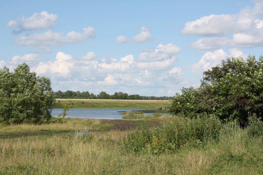 Izhmora river. Pond. by Usama ben Yorik