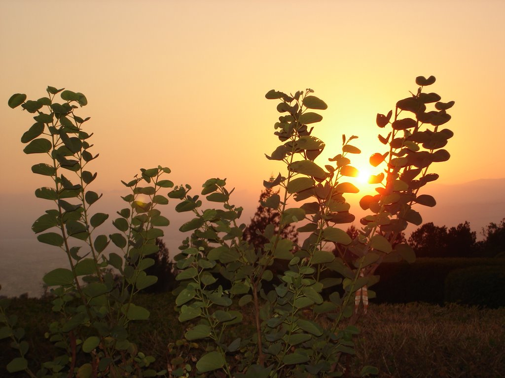 Sunset In Ramot by bbzz