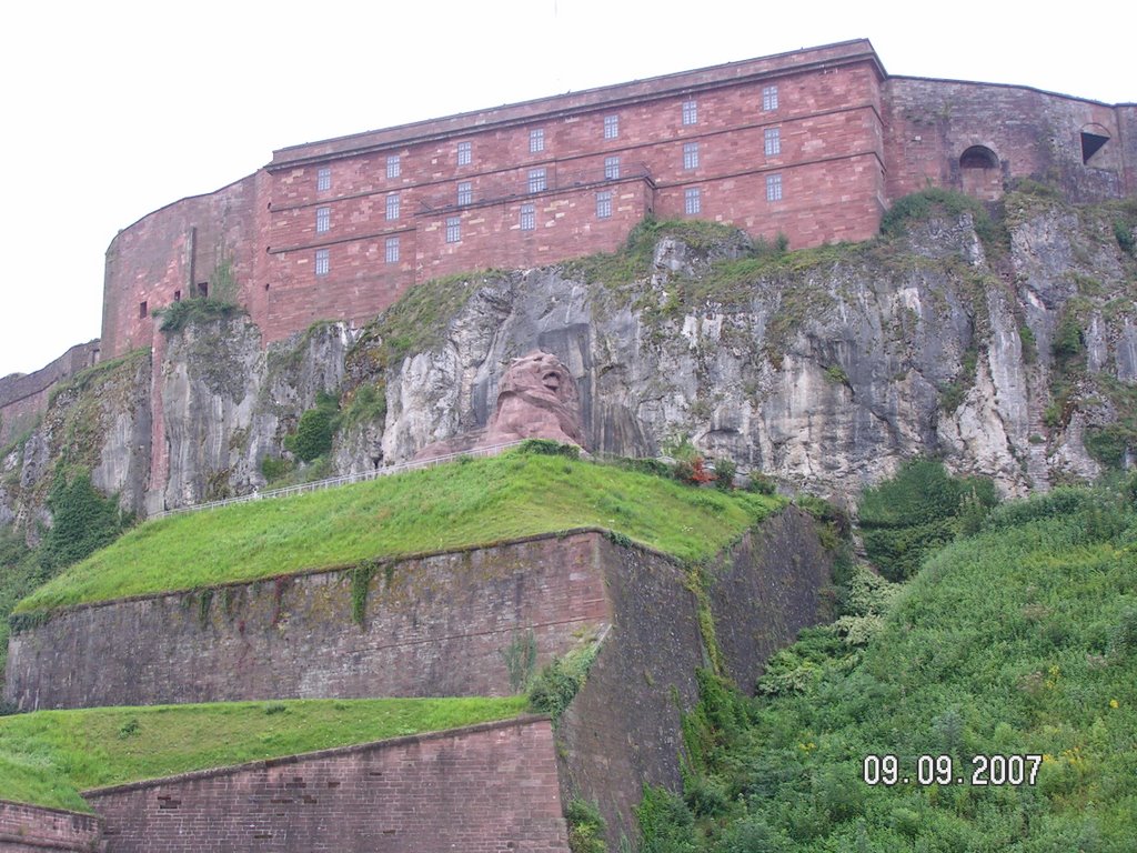 Lion de Belfort by dlevain