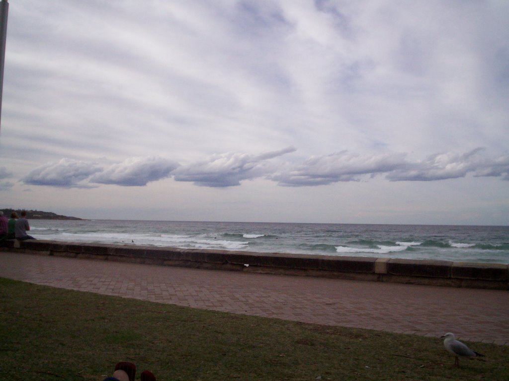 Manly Beach in Autumn by isaperez