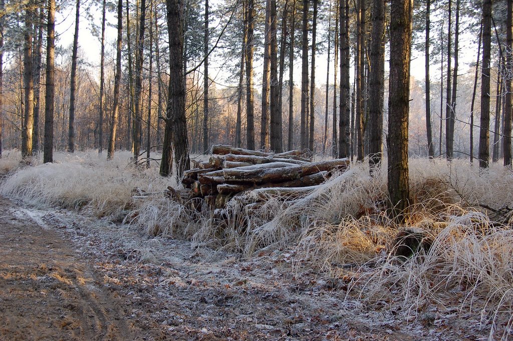 Een winters einde by Huub Minkenberg