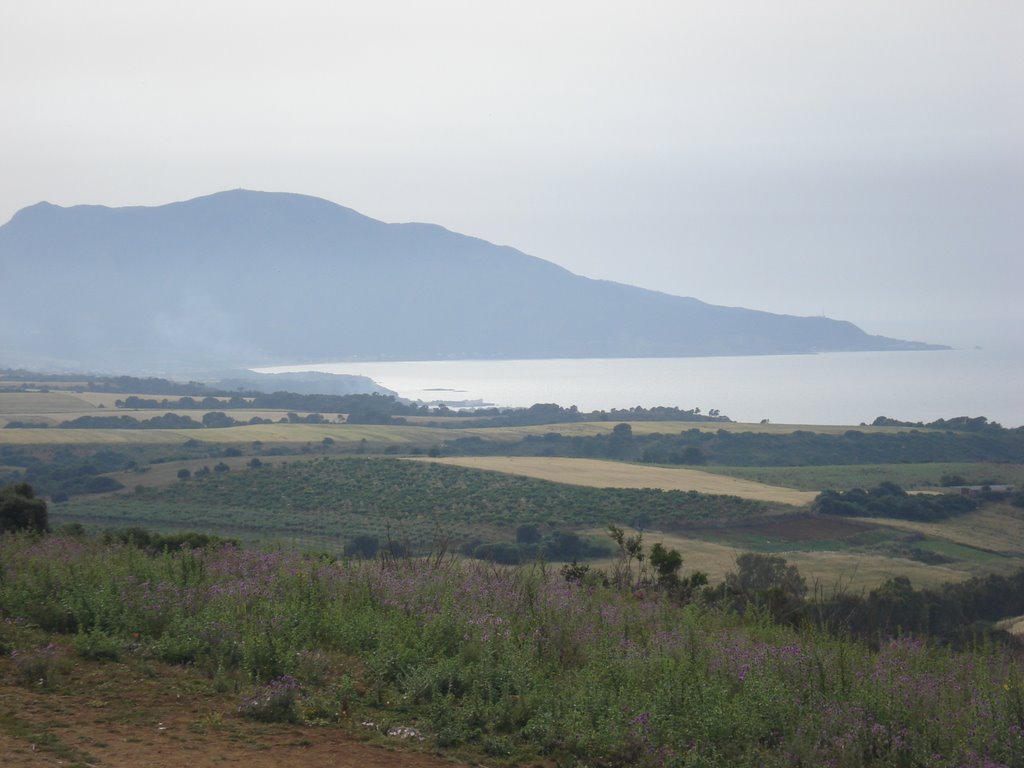 Vue sur tipasa du tombeau de la chrétienne by Musbou