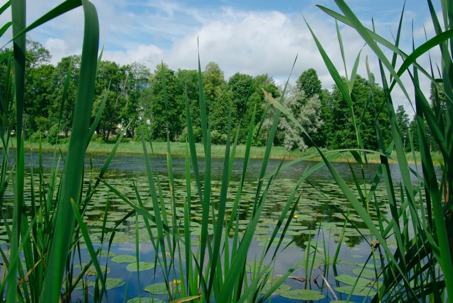 Otepää, Valga maakond, Estonia by UTM Vlad