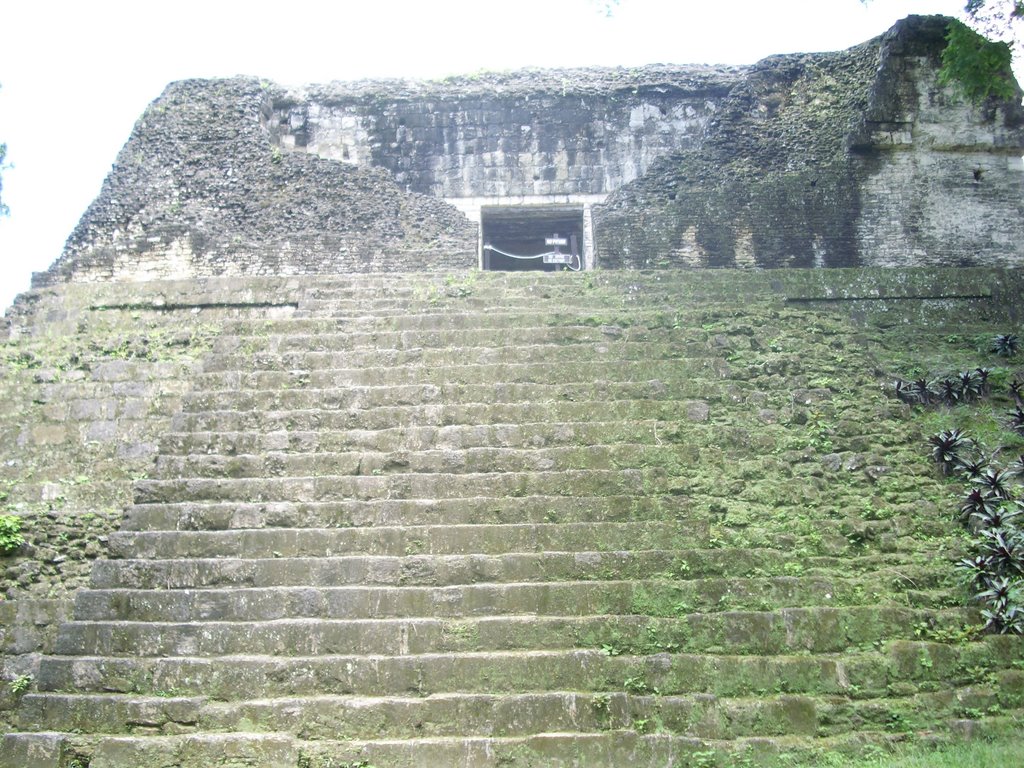 Tikal, Guatemala by HEAL