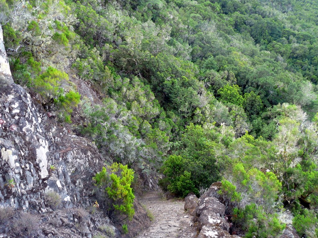 Camino de Jinama by Domingo Ortega Regui…