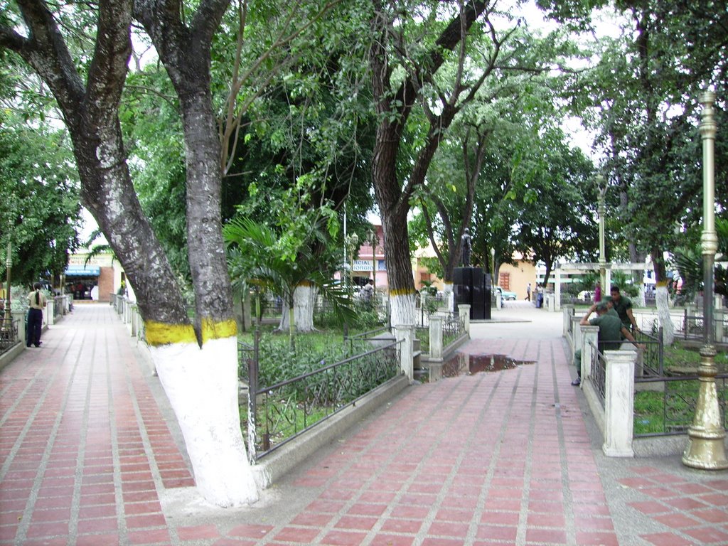 Plaza Bolivar El sombrero by JOENENO