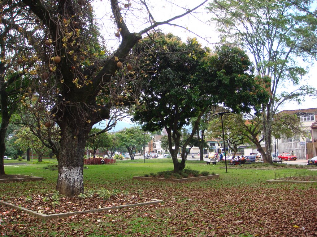 PARQUE EL TEMPLETE by carlos alberto arang…