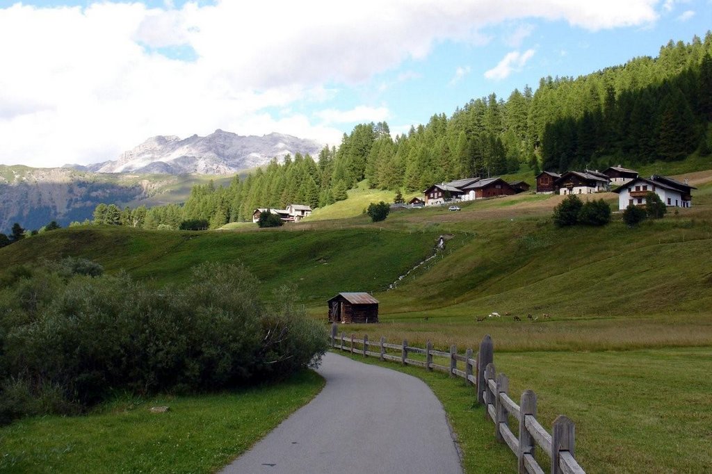 Livigno (SO) - Passeggiata in valle by Giancarlo Ticozzi