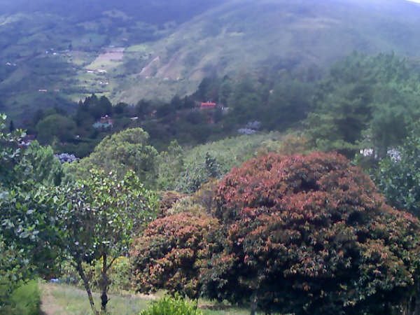 Vista de el jarillo by carloxdb