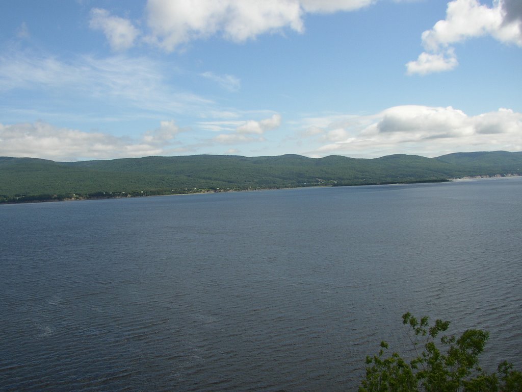 Gaspe Bay by Victor Matthews