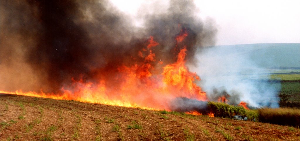 Incêndio - Cordeirópolis, SP, Brasil. by André Bonacin