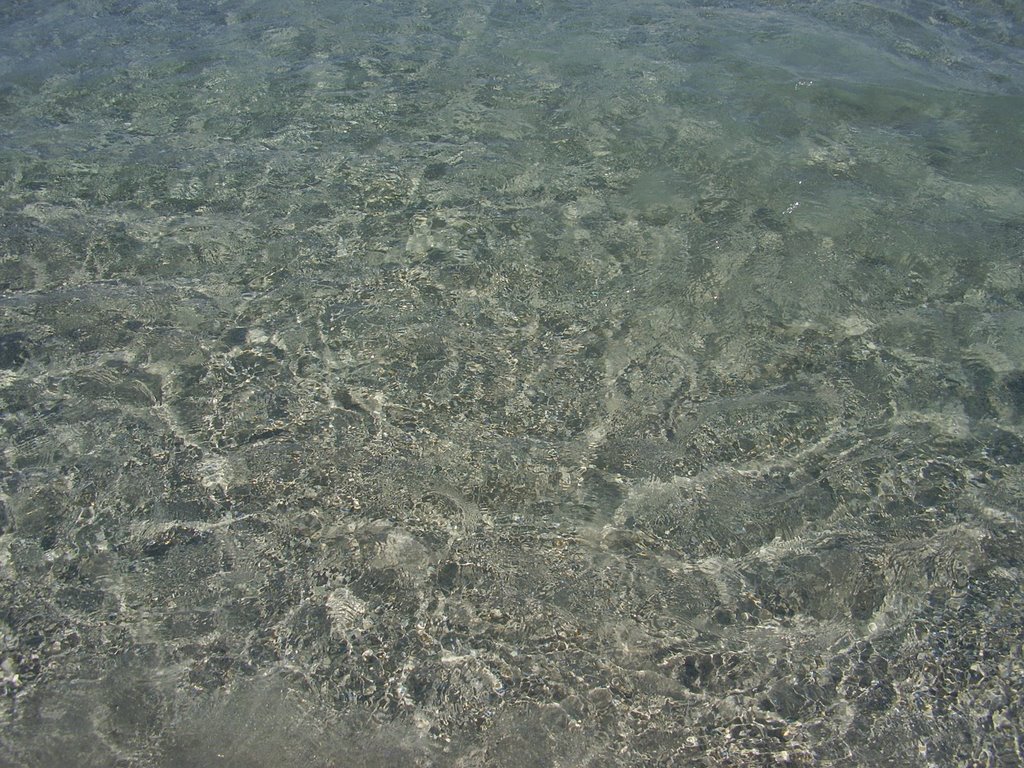 Simius - sea - 2008-07-23 by liscakb