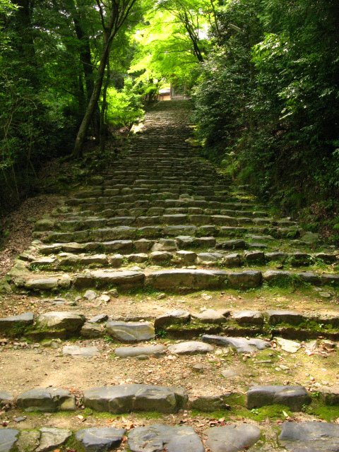 Road of worshipping to Jingoji Temple by Mashiko Akihiro