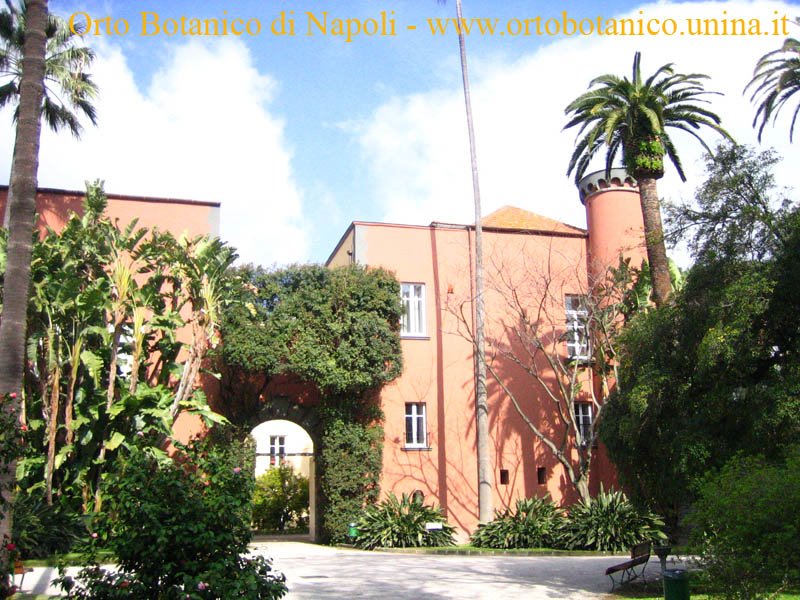 Castello, veduta dell'ingresso principale. Orto Botanico di Napoli, Via Foria 223, 80139 by Giancarlo Sibilio