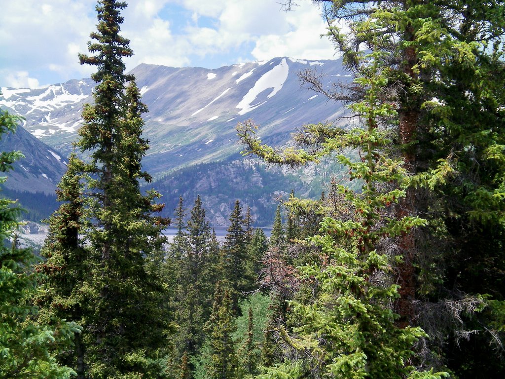 Trail Ridge Wiew by Billy Book