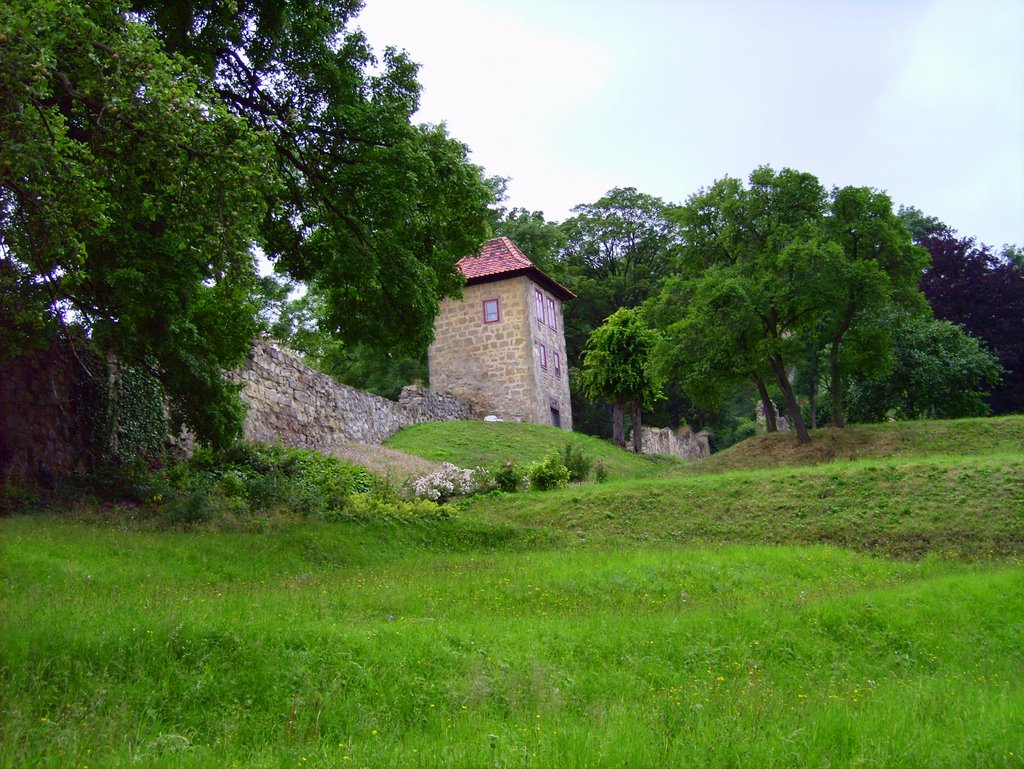 Umgebung des Schlosses Blankenburg by PanoMADE