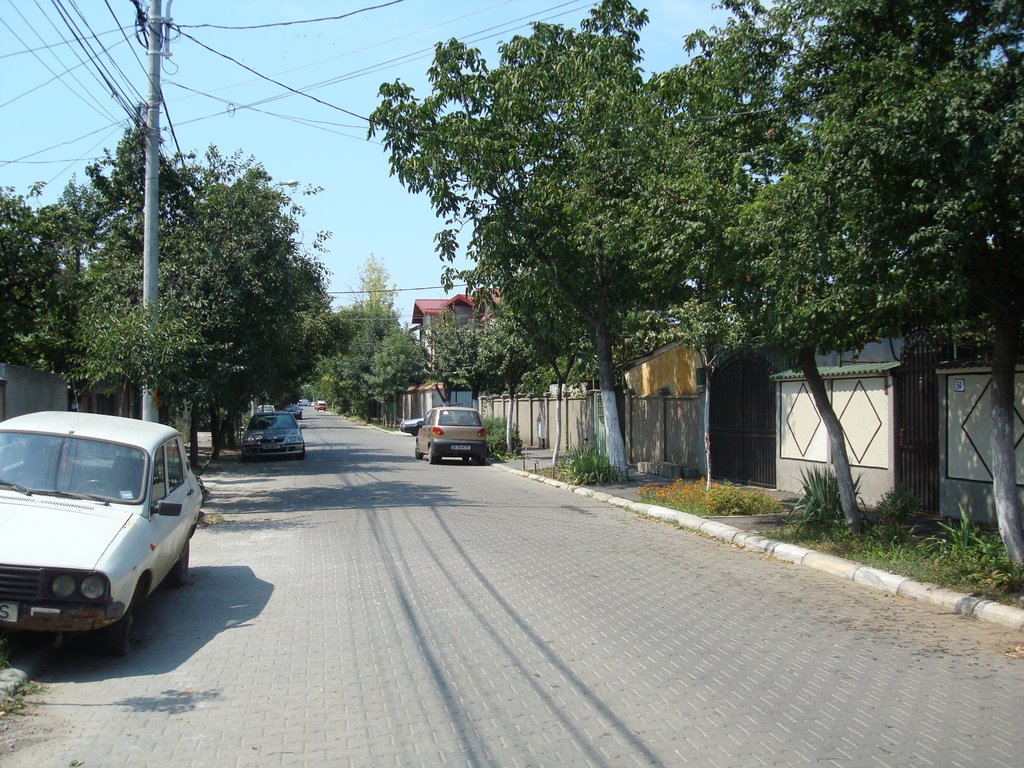 Bucureștii Noi, Bucharest, Romania by Eugen Simion